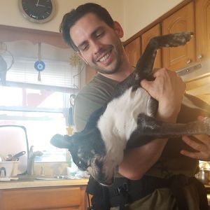 Meet your Posher, Robert